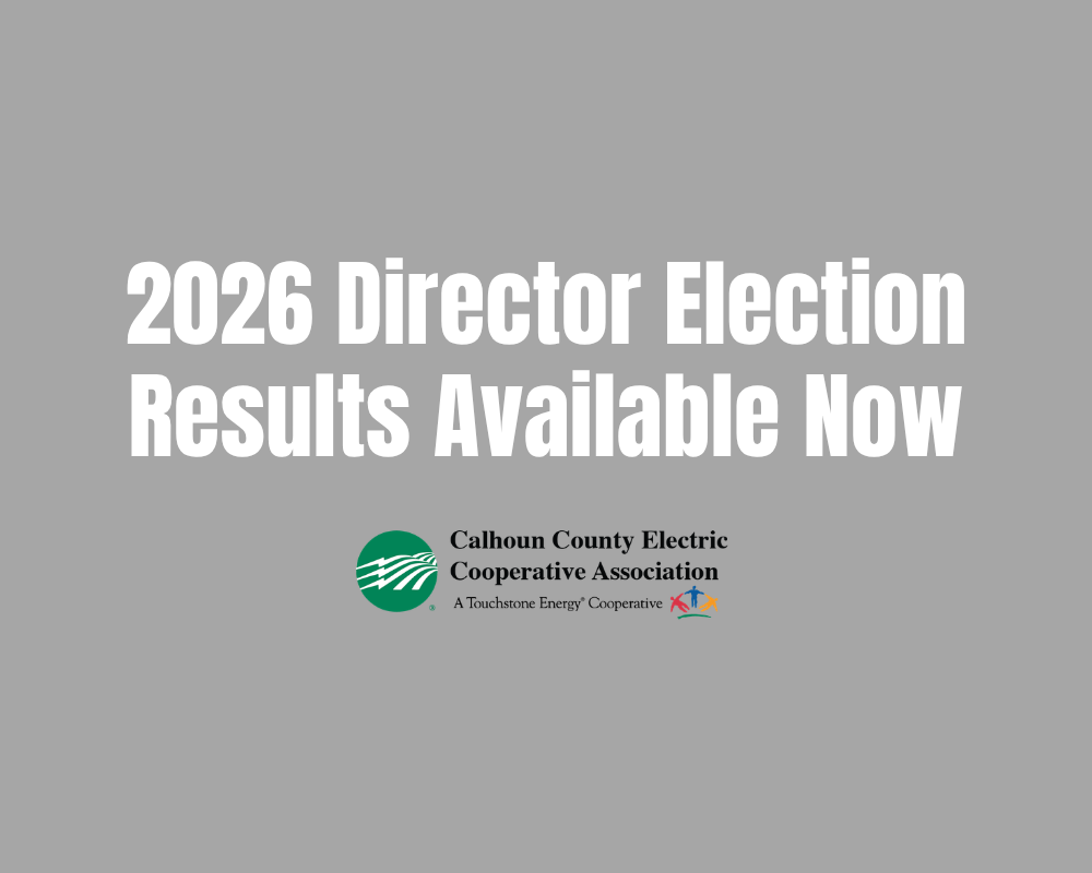 election